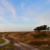 Waddeneiland Ameland van Jan Radstake