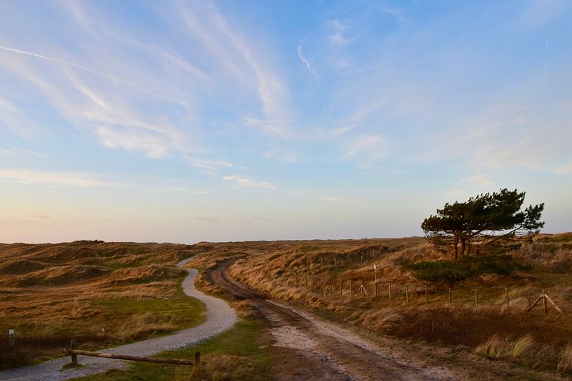 Frisian island of Ameland by Jan Radstake