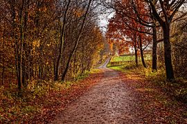 Route non goudronnée à De Piepert sur Rob Boon