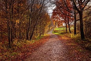 Ungepflasterte Straße in De Piepert