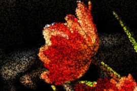 Bewerking van een tulp