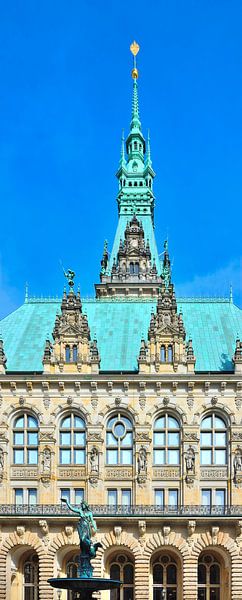 Hamburg City Hall by Gisela Scheffbuch