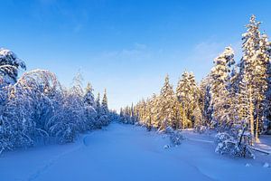 Landschaft im Winter mit Wald in Äkäslompolo, Finnland