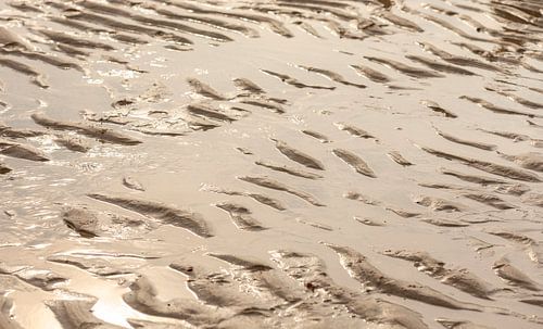 Laagwater op het strand