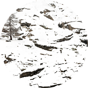 Wie zoekt, die vindt