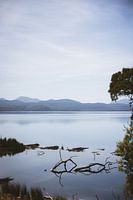 Maria Island: Strahan's Natural Treasure