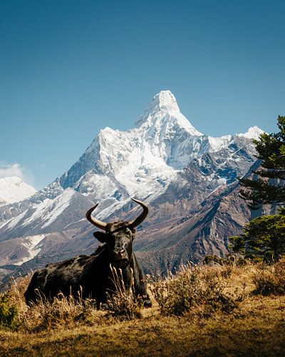 Ama Dablam (6812m) in Nepal