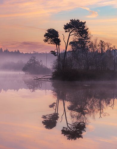 Oisterwijkse vennen tijdens het gouden uur