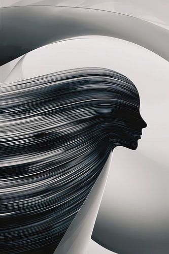 Abstract Zwart-wit Silhouet