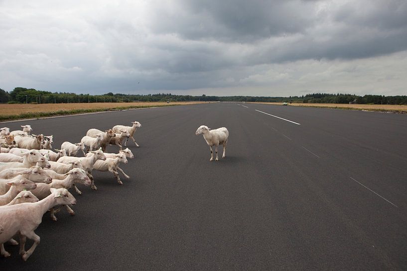 De zondvloed van Marc Baars