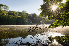 Ein Morgen am See von Jasper Kok