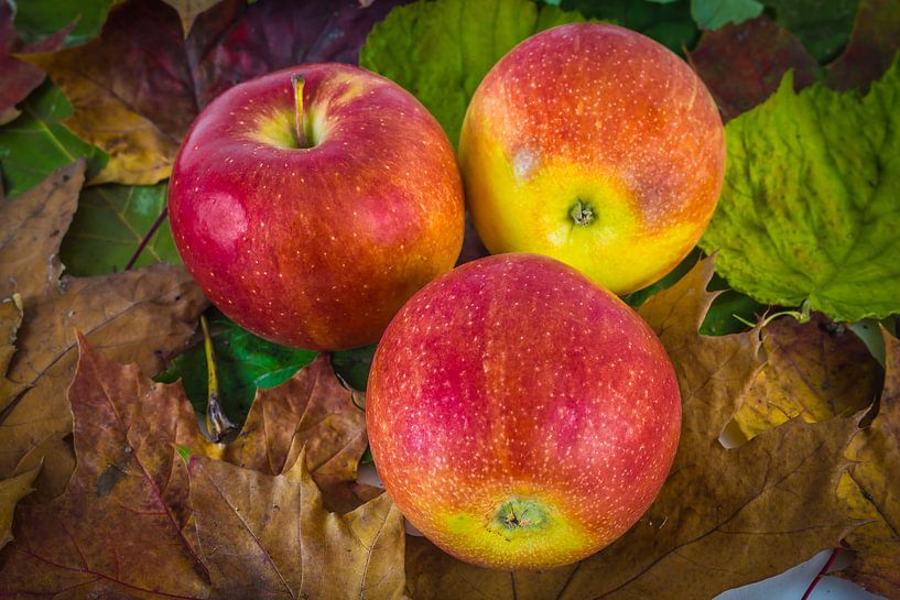 Äpfel im Laub von Jürgen Döring