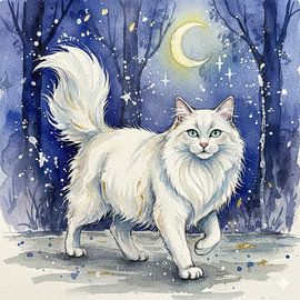 Mondscheinspaziergang