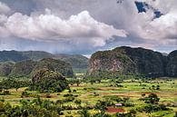 Mogotes de Vinales  van Arnaud Bertrande thumbnail