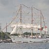 Dar Mlodziezy -  Sail Amsterdam van Barbara Brolsma