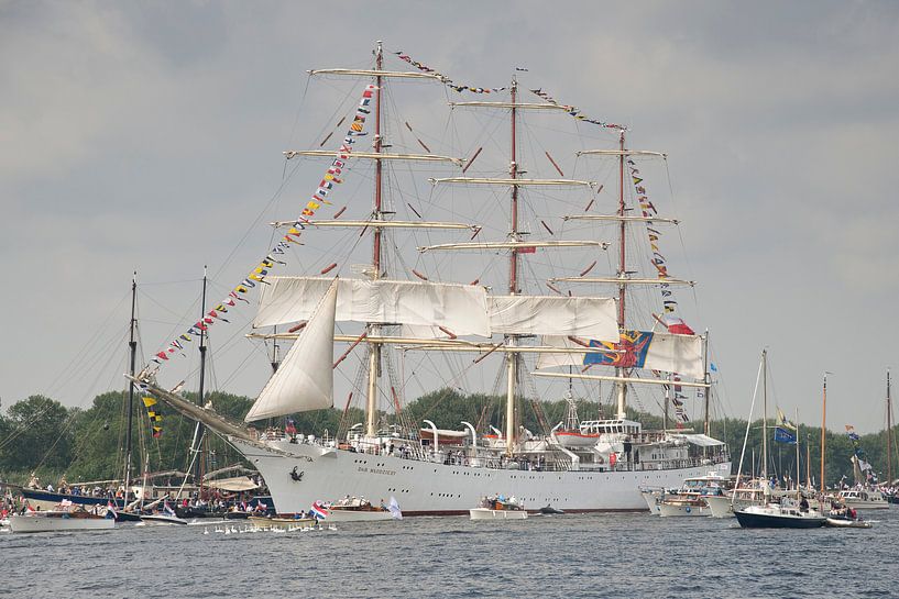 Dar Mlodziezy -  Sail Amsterdam van Barbara Brolsma