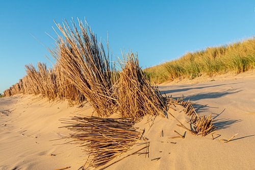 Silence on the stand