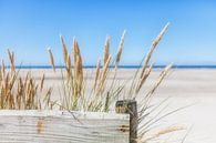 L'été, le soleil, la mer, le sable et la paix par R Smallenbroek Aperçu