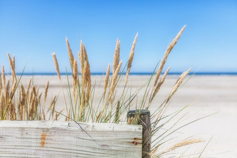 Summer, sun, sea, sand and peace by R Smallenbroek