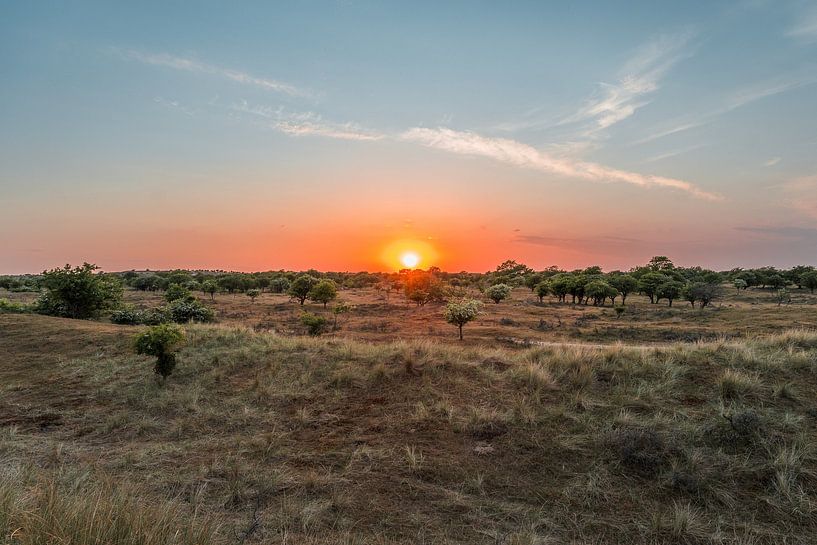 Sunset in the Amsterdam water supply dunes (0138) by Reezyard