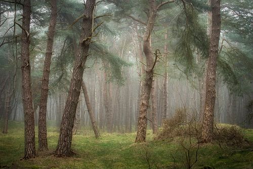 Rijk van Verstilling