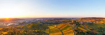 Bird's eye view of Stuttgart with the burial chapel by Werner Dieterich