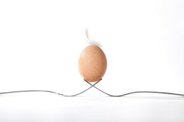 Egg by Leo van Valkenburg