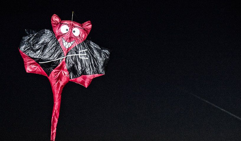 Drachenfestival Norderstedt von Dirk Bartschat