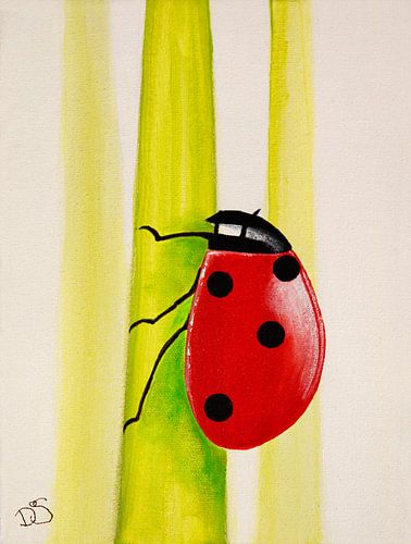 Coccinella