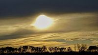 Ondergaande zon boven een Zeeuwse dijk met bomenrij van Gert van Santen thumbnail