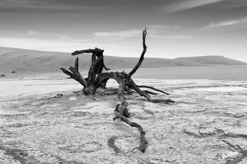 Dead Vlei in de Namib woestijn, Namibie, Afrika van Tjeerd Kruse