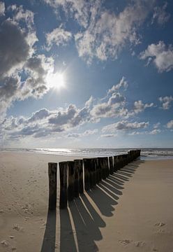 Strand van Rene van der Meer