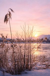Zarter Wintermorgen im Murnauer Moos in Oberbayern
