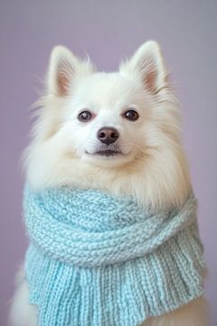 Amerikaanse Eskimo Hond van Poster Art Shop