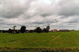 Zwanen by Robert Lotman