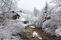 Bach dans un paysage d'hiver par Frank Herrmann Aperçu