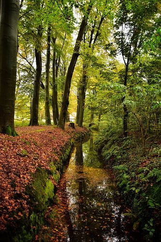 Herfstlaantje