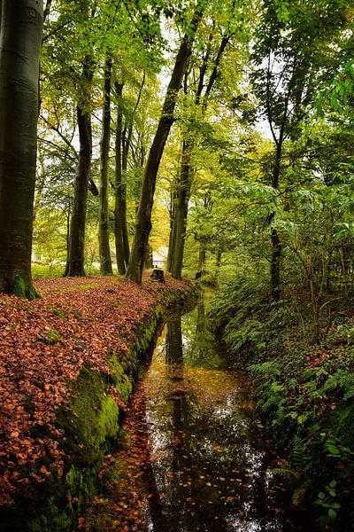 Herbst-Spur von Monique Verlouw