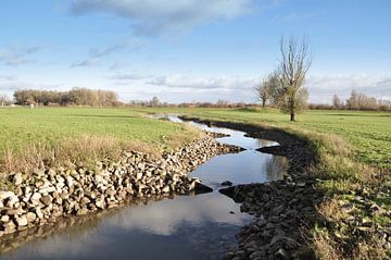 Visafslag eiland van Maurik