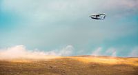 Flying in Iceland