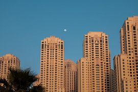 Skyline von Dubai Marina – Beleuchtete Wolkenkratzer im Vollmondlicht von RAW & Refined