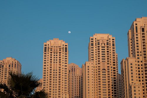 Skyline von Dubai Marina – Beleuchtete Wolkenkratzer im Vollmondlicht