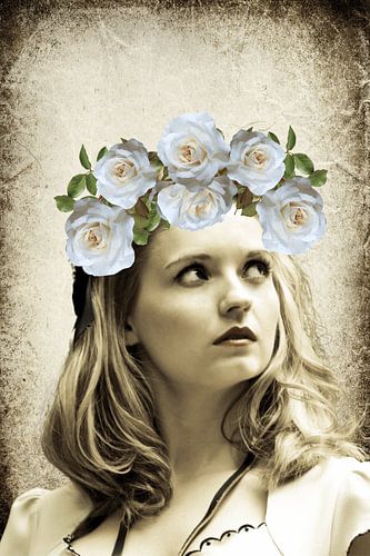 Verträumte weiße Rose