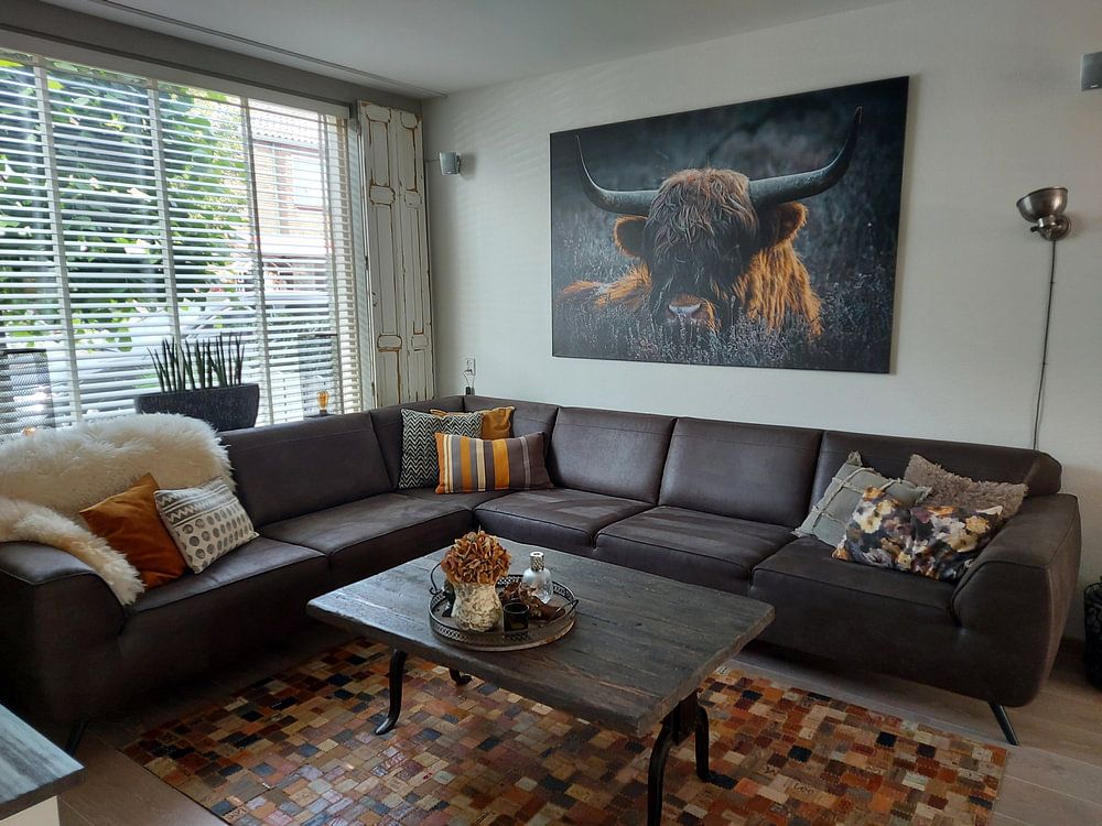 Scottish Highlander  by Jayzon Photo 