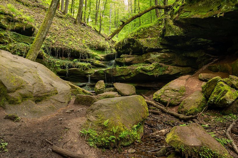 Hexenklamm von Sven Frech