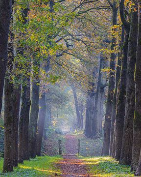 Herfst op het landgoed Ennemaborg in Midwolda van Henk Meijer Photography
