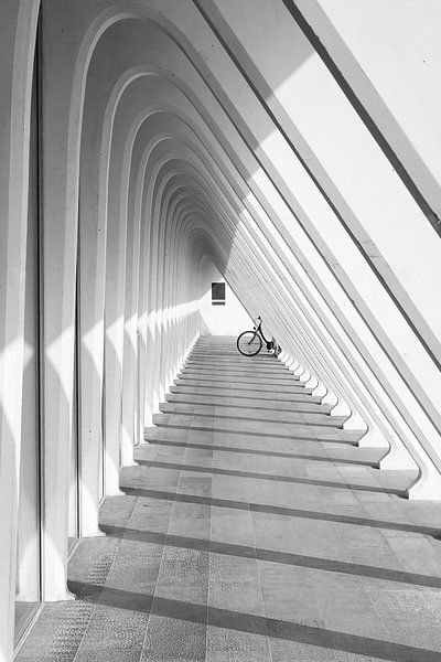 Schwarz-Weiß-Foto Fahrrad und Linien Lüttich-Guillemins von Jochem Oomen