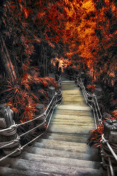 De doorgang van Manjik Pictures