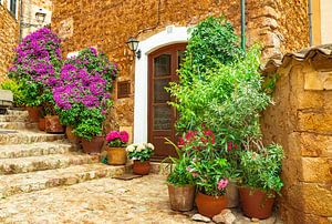 Schöne Blumenstraße im alten Dorf Fornalutx auf der Insel Mallorca, Spanien
