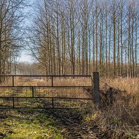 landschapsfoto sur a schotanus